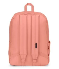 JanSport SuperBreak Plus FX Backpack - Happy And Sad Pink -Jansport JS0A4QUA AG6 back