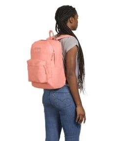 JanSport SuperBreak Plus FX Backpack - Happy And Sad Pink -Jansport JS0A4QUA AG6 model