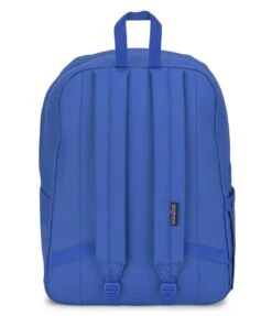 JanSport SuperBreak Plus FX Backpack - Kidcore Charms -Jansport JS0A4QUA Z62 back