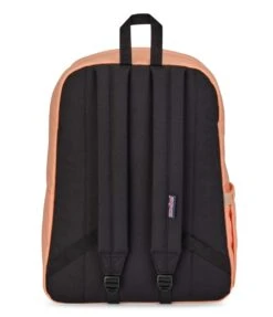 JanSport SuperBreak Plus Backpack - Peach Neon -Jansport JS0A4QUE Z72 back