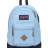 JanSport Lodo Pack - Blue Dusk